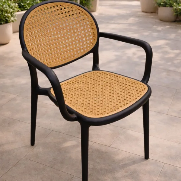 Outdoor Chair - Black & Beige