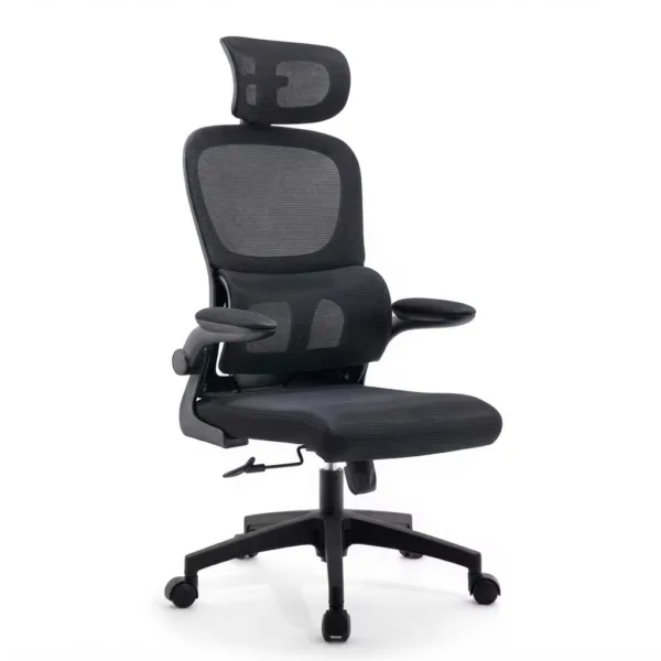 Ergonomic Mesh Office Chair - Black